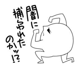 1675894