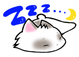16772035