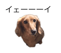 167793706