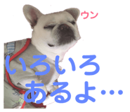 167794824