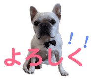167794827