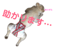 167794835