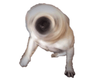 167794836