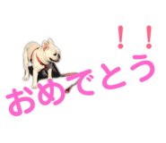 167794837