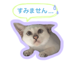 167875640
