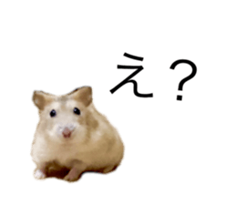 167889601