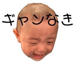 167896353