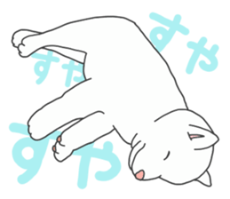 167988753