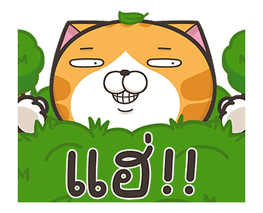 เหมียวซ่า : ส่ายสะบัด รูปที่ 2