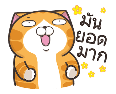 เหมียวซ่า : ส่ายสะบัด รูปที่ 8