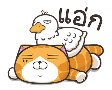 เหมียวซ่า : ส่ายสะบัด รูปที่ 11