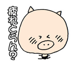 16800718