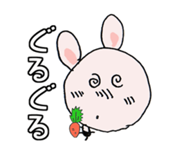 16802062