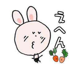 16802070