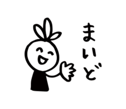 16802706