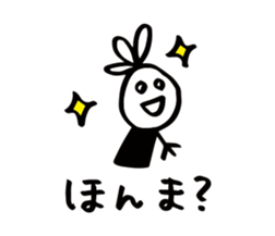 16802707