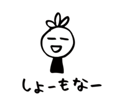 16802715