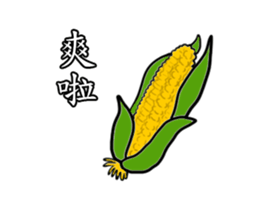 16808411