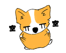 16824768