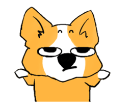 16824776