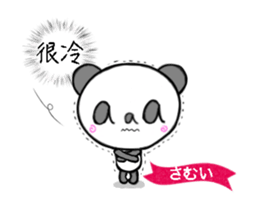 16833246