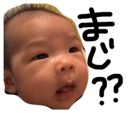168384544