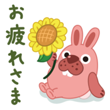 16841255