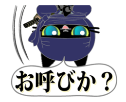 16849485