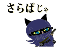 16849491