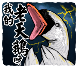 16850120