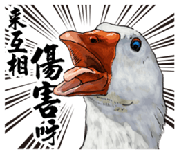 16850135