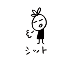 16869587