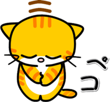 168735215