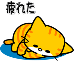 168735253