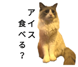 168922911