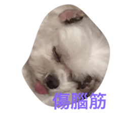 168930614
