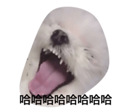 168930615