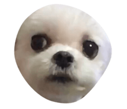 168930628
