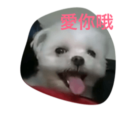 168930632