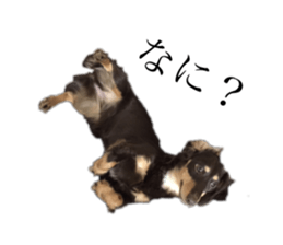 169024363