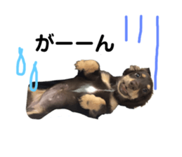 169024365