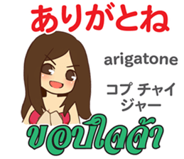 16904337