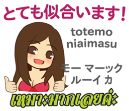 16908086