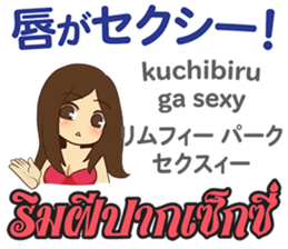 16908104