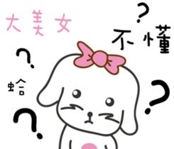 169087816