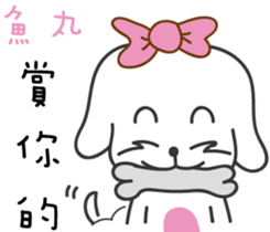 169144151