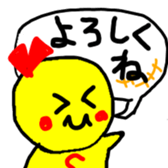 16928048