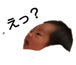 169311813