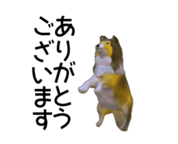 169321407