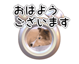 169321410